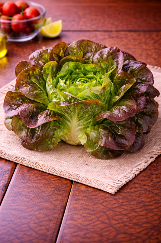 Salade rougette vaucluse